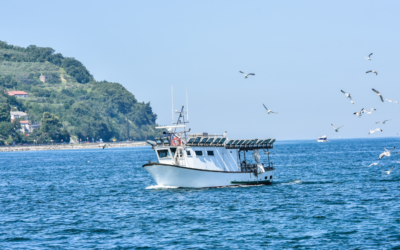 Southeastern Legal Foundation opposes speed limits on boats in the Florida Gulf