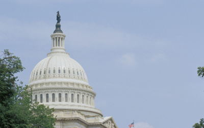 Southeastern Legal Foundation calls on U.S. Supreme Court to take up challenge to executive agency overreach