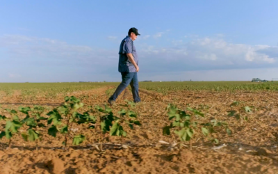SLF sends letter to USDA identifying dozens of discriminatory Biden-era programs