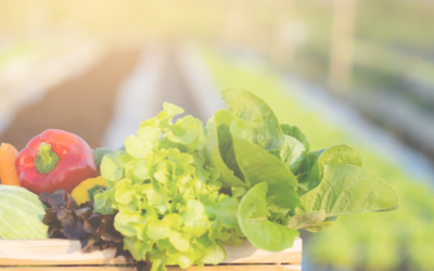 Court halts DOL’s attempt to create new right for foreign temporary farmworkers to unionize as unconstitutional