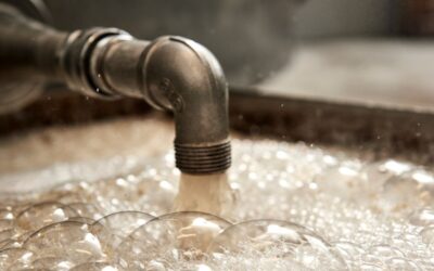 Southeastern Legal Foundation supports home distiller in Sixth Circuit legal challenge